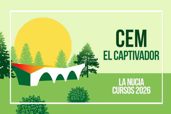 Cursos CEM 2026